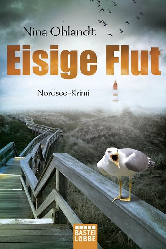 Eisige Flut