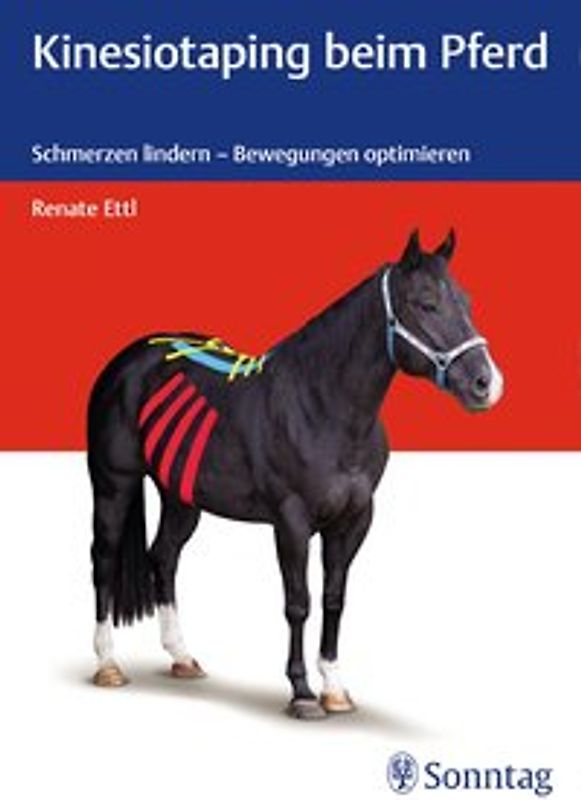 Kinesiotaping beim Pferd
