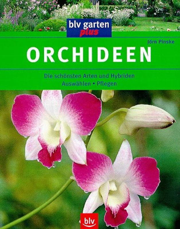 Orchideen