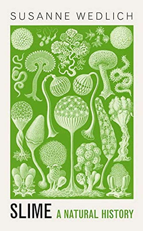 Slime
