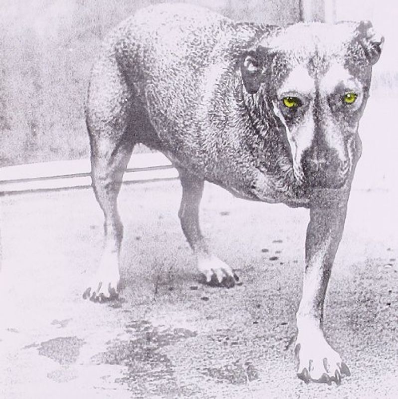 Alice in Chains - Alice in Chains