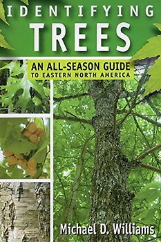 Identifying Trees: An All-Season Guide To Eastern North America: An All-Season Guide to the Eastern United States