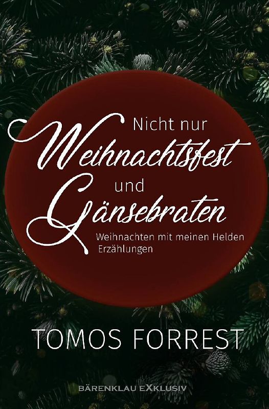 Nicht nur Weihnachtsfest und Gänsebraten - Weihnachten mit meinen Helden