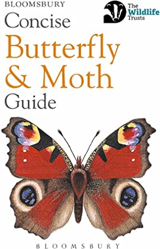 Concise Butterfly and Moth Guide