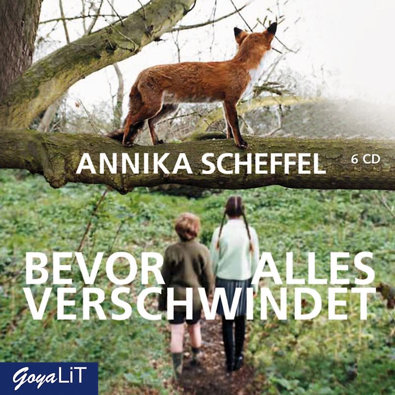 Bevor alles verschwindet