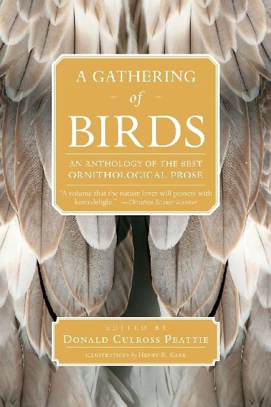A Gathering of Birds
