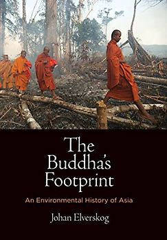 The Buddha's Footprint