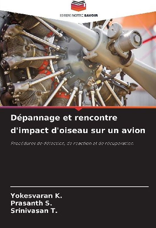 Dépannage et rencontre d'impact d'oiseau sur un avion