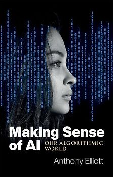Making Sense of AI