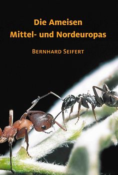 Die Ameisen Mittel- und Nordeuropas