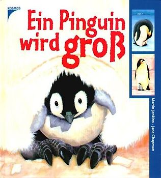 Ein Pinguin wird gross