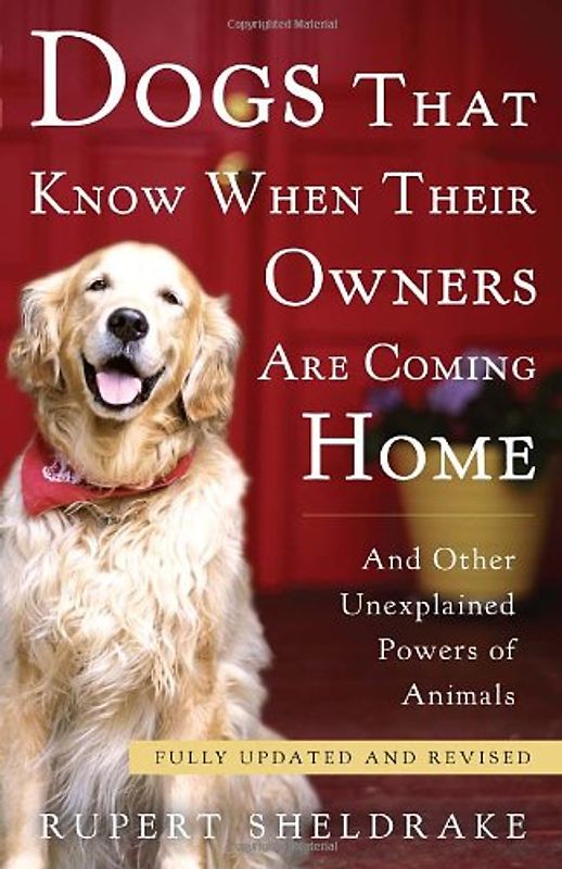 Dogs That Know When Their Owners Are Coming Home: Fully Updated and Revised - Sheldrake, Rupert