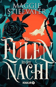 Wie Eulen in der Nacht