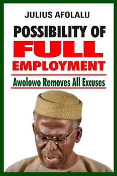 POSSIBILITY OF FULL EMPLOYMENT: Awolowo Removes All Excuses