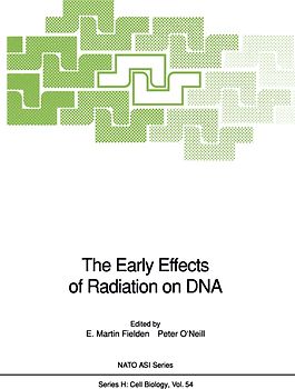 The Early Effects of Radiation on DNA
