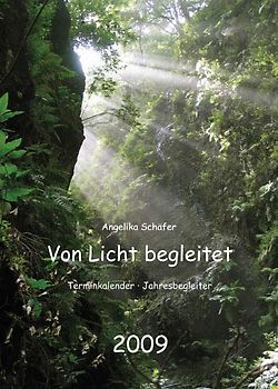 Von Licht begleitet 2009