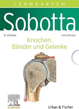 Sobotta Lernkarten Anatomie: Knochen, Bänder und Gelenke