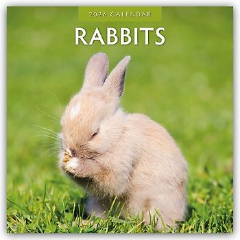Rabbits 2026 Square Wall Calendar