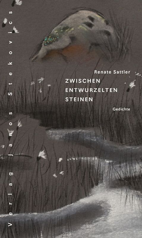 Zwischen entwurzelten Steinen