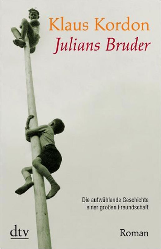 Julians Bruder. Roman