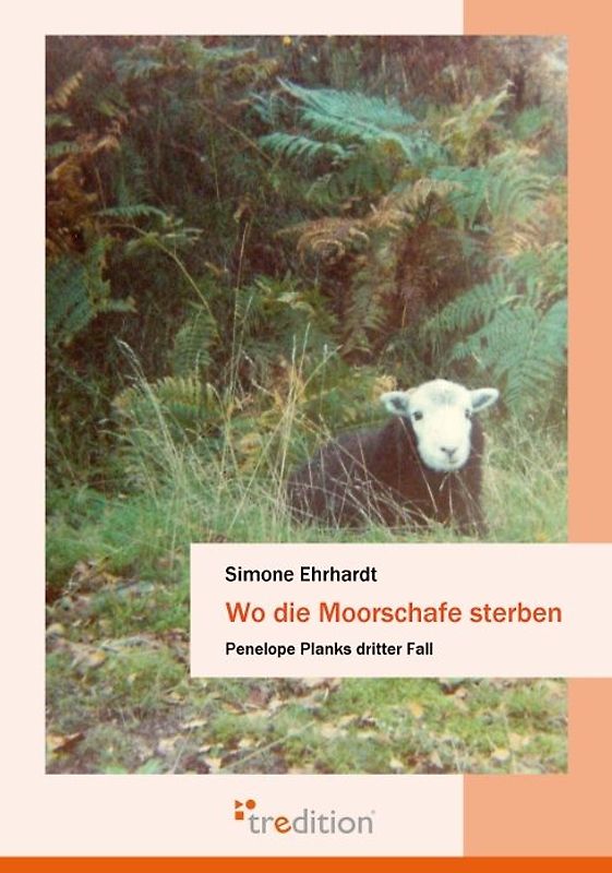 Wo die Moorschafe sterben