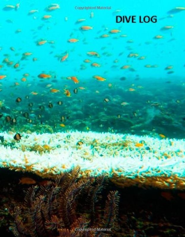 Dive Logbuch - Kalsari