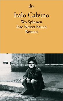 Wo Spinnen ihre Nester bauen. Roman