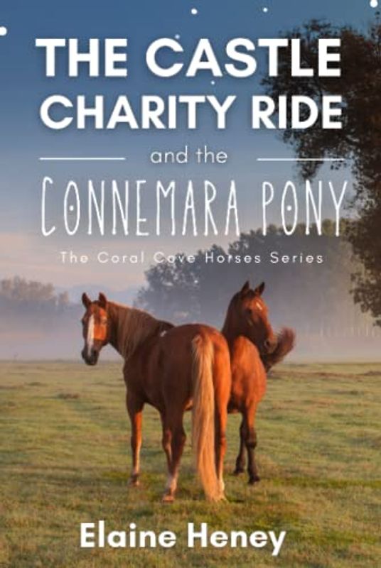 The Castle Charity Ride and the Connemara Pony - The Coral Cove Horses Series (Coral Cove Horse Adventures for Girls and Boys, Band 4)