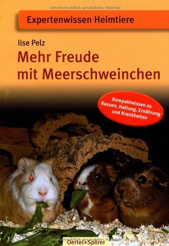 Mehr Freude mit Meerschweinchen