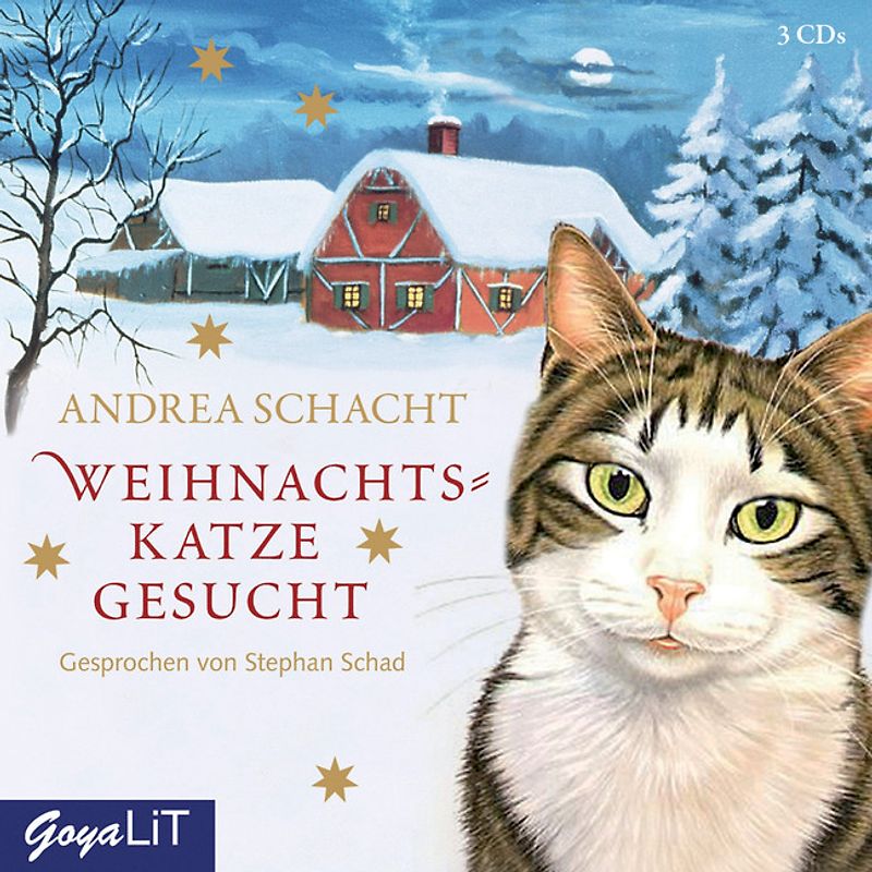 Weihnachtskatze gesucht