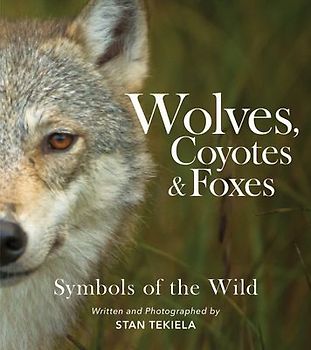 Wolves, Coyotes & Foxes