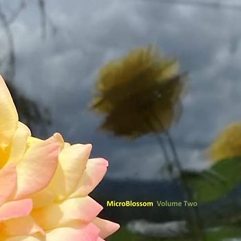 MicroBlossom: Frog Eagle Farms Photographic Journals: Volume Two