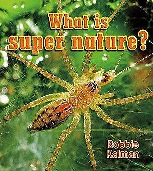 What Is Super Nature?