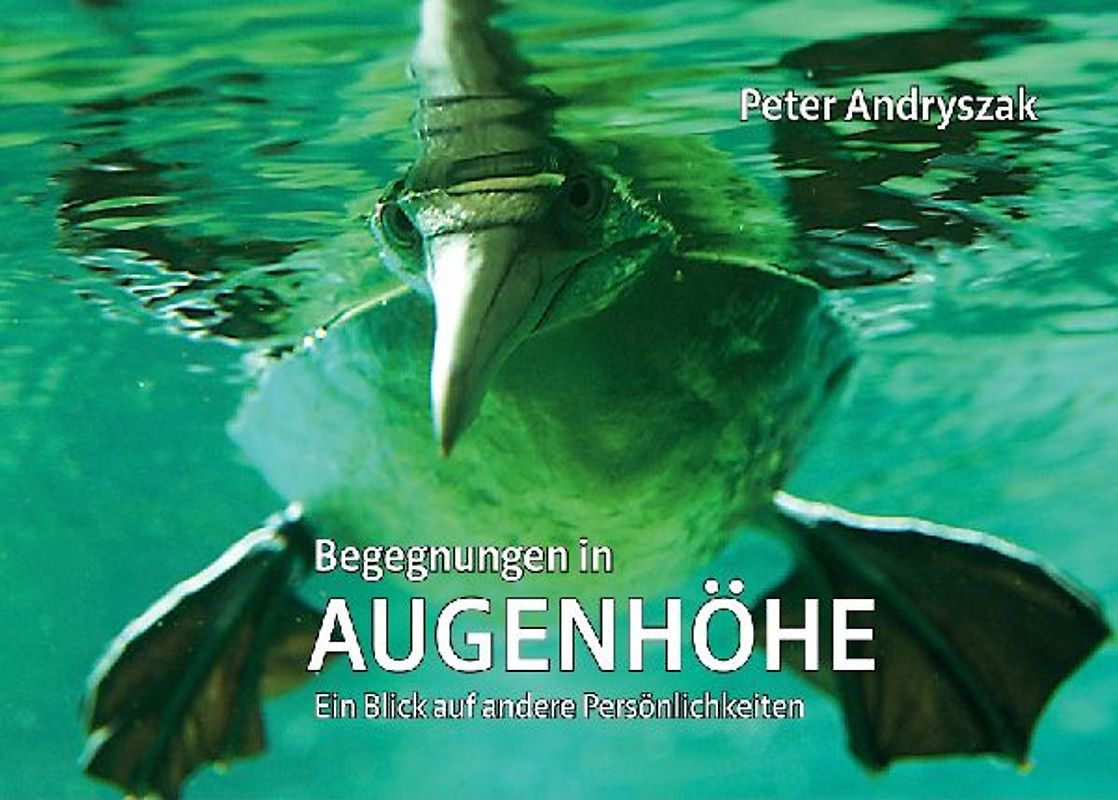 Begegnungen in Augenhöhe