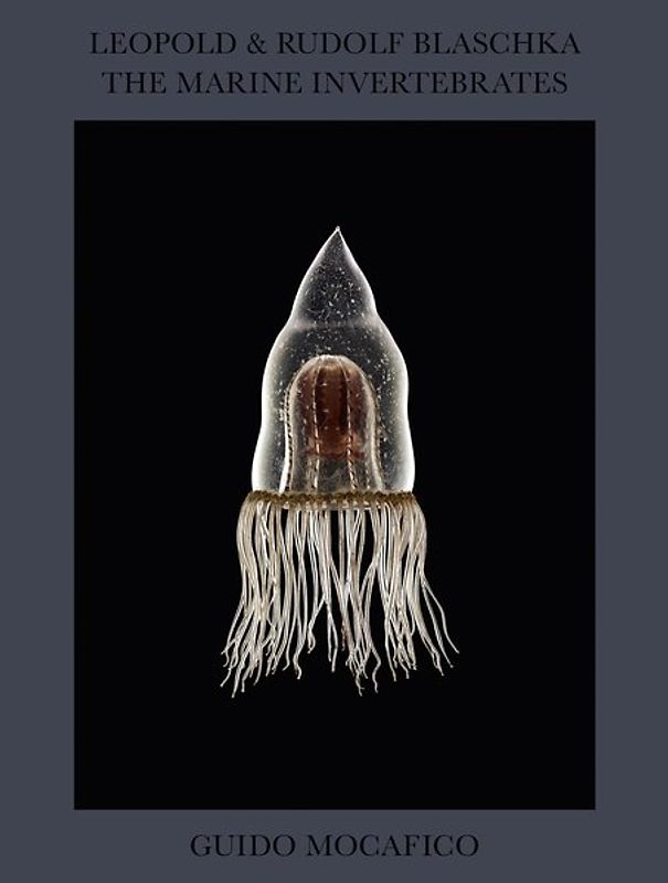 Leopold & Rudolf Blaschka. The Marine Invertebrates