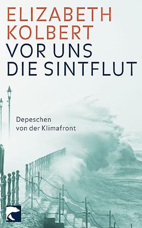 Vor uns die Sintflut
