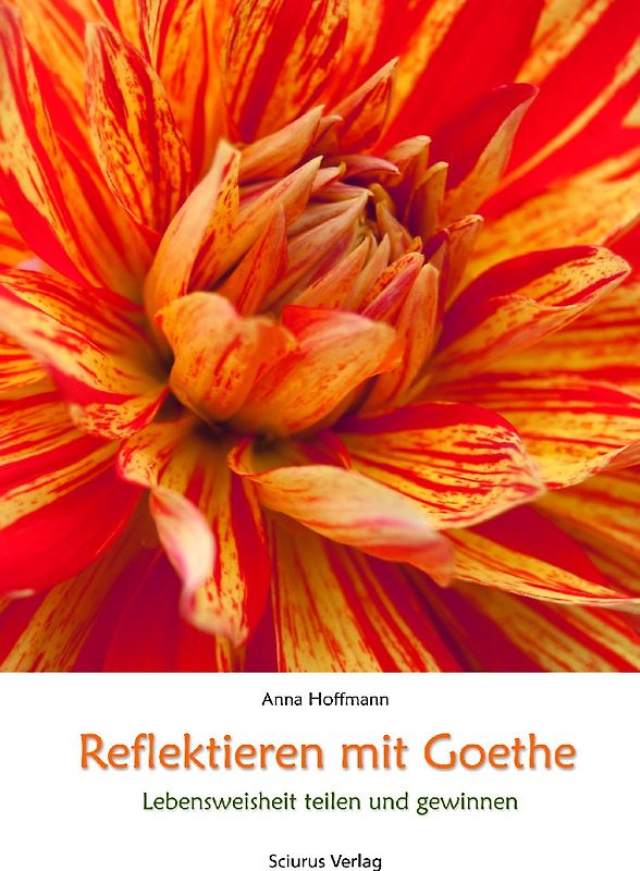 Reflektieren mit Goethe