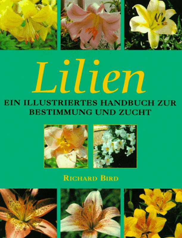 Lilien