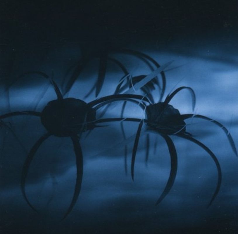 Felsenreich - Am Ende der Zeit