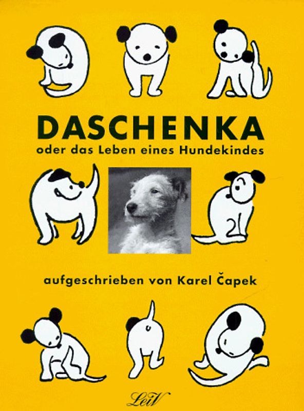 Daschenka. Das Leben eines Hundekindes
