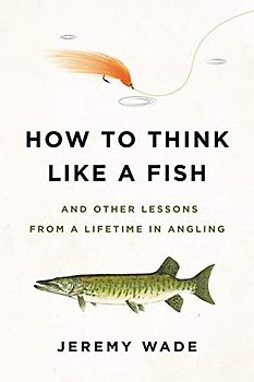 How to Think Like a Fish