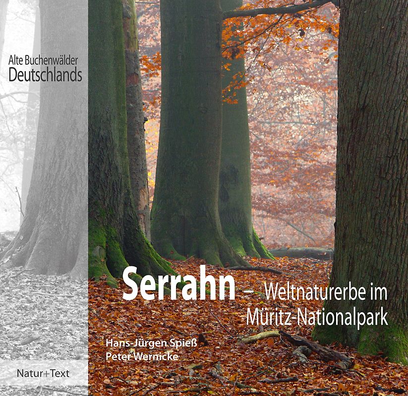 Serrahn –