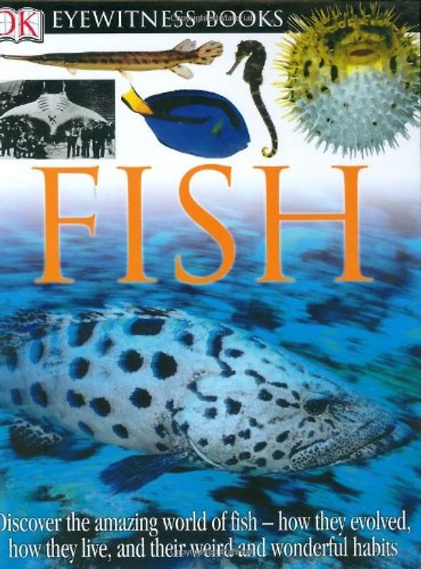 Fish (DK Eyewitness Books) - Steve Parker