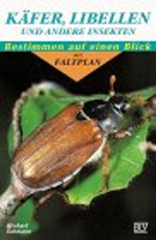 Käfer, Libellen und andere Insekten