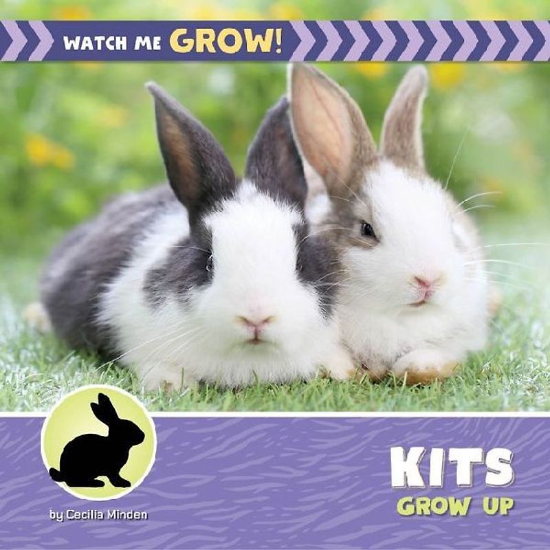 Kits Grow Up