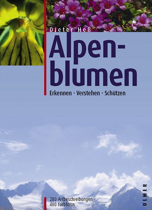 Alpenblumen