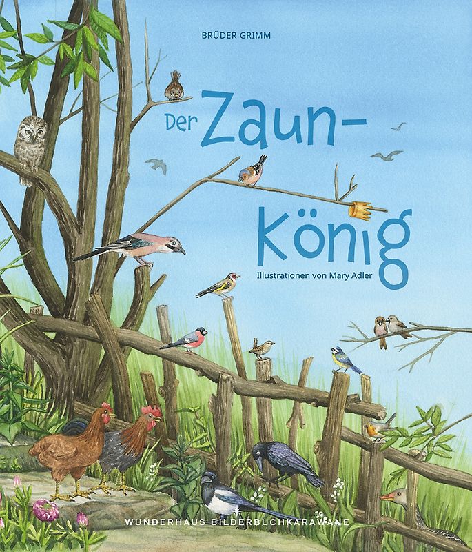 Der Zaunkönig