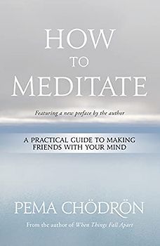 How to Meditate: A Practical Guide to Making Friends With Your Mind