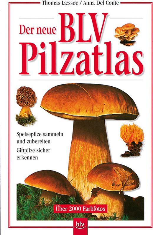 Der neue BLV Pilzatlas
