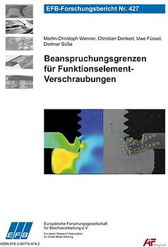 Beanspruchungsgrenzen für Funktionselement-Verschraubungen
